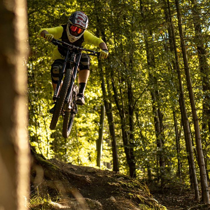 A mountain biker jumping off a root in a sunlit forest